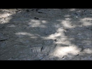 video by mud fun